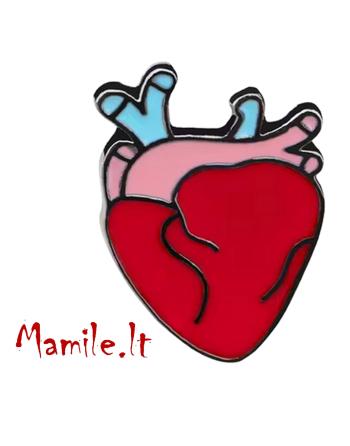 Profesijų Sagės medikams „ŠIRDIS“